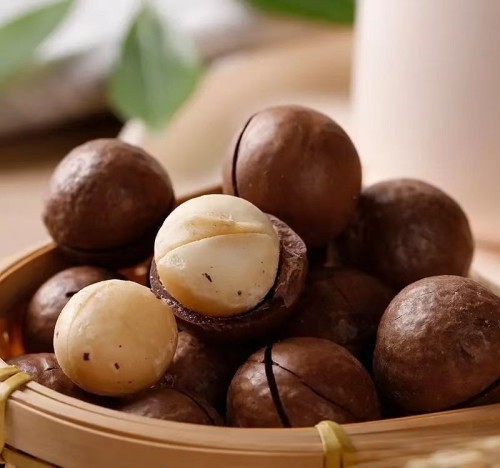 Macadamia nuts Nootropic effect high quality effect 100% healthy